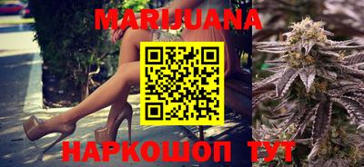 индика Лесосибирск