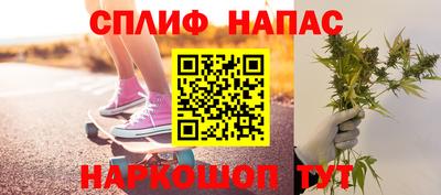 индика Лесосибирск
