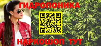 индика Лесосибирск