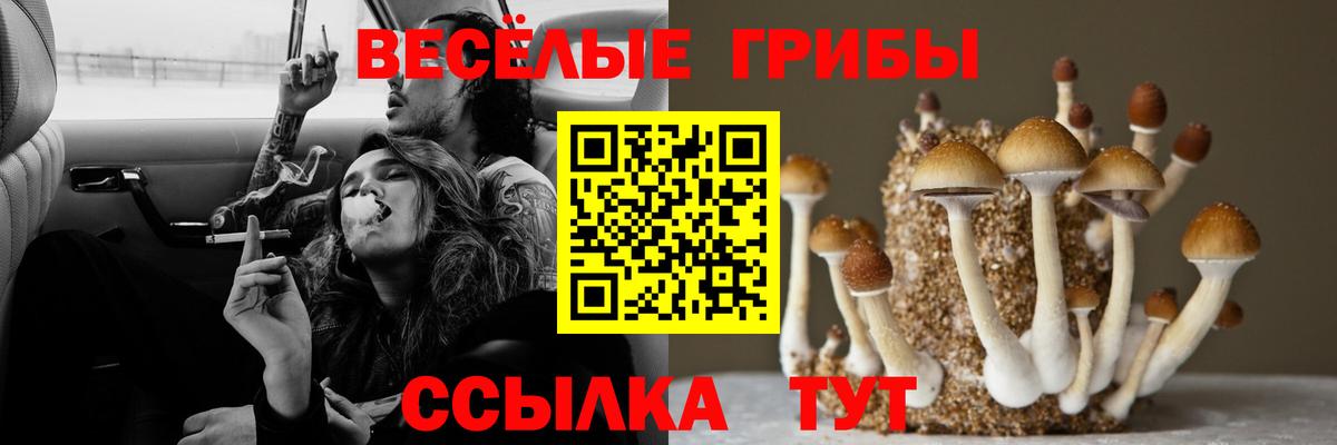 Псилоцибиновые грибы Cubensis  Галлюциногенные грибы Magic Shrooms  Вход с VPN  Кимры 